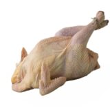Horoz