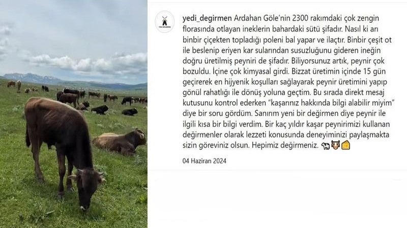 yedi-degirmen-kasar-03