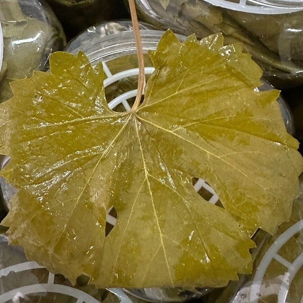 yedi-degirmen-tokat-uzum-yapragi-3